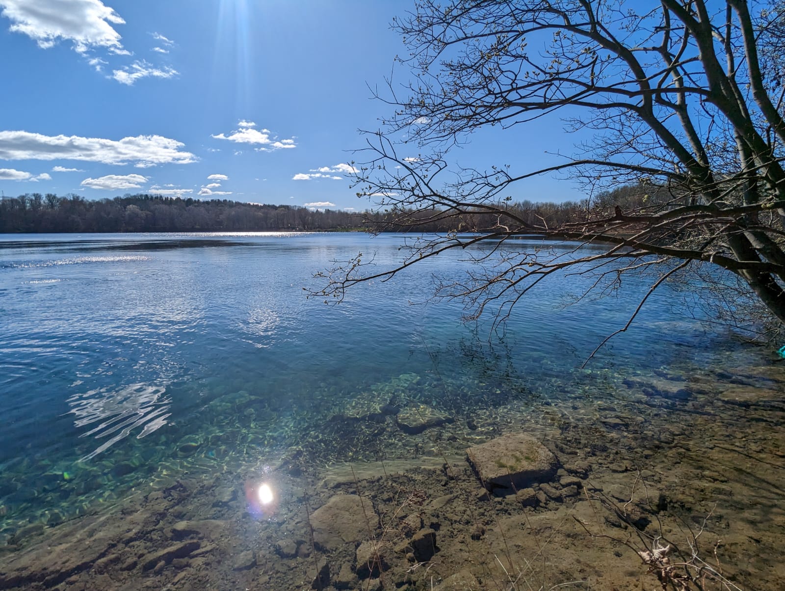 Süßwasser Fotos von Tieren im Wasser