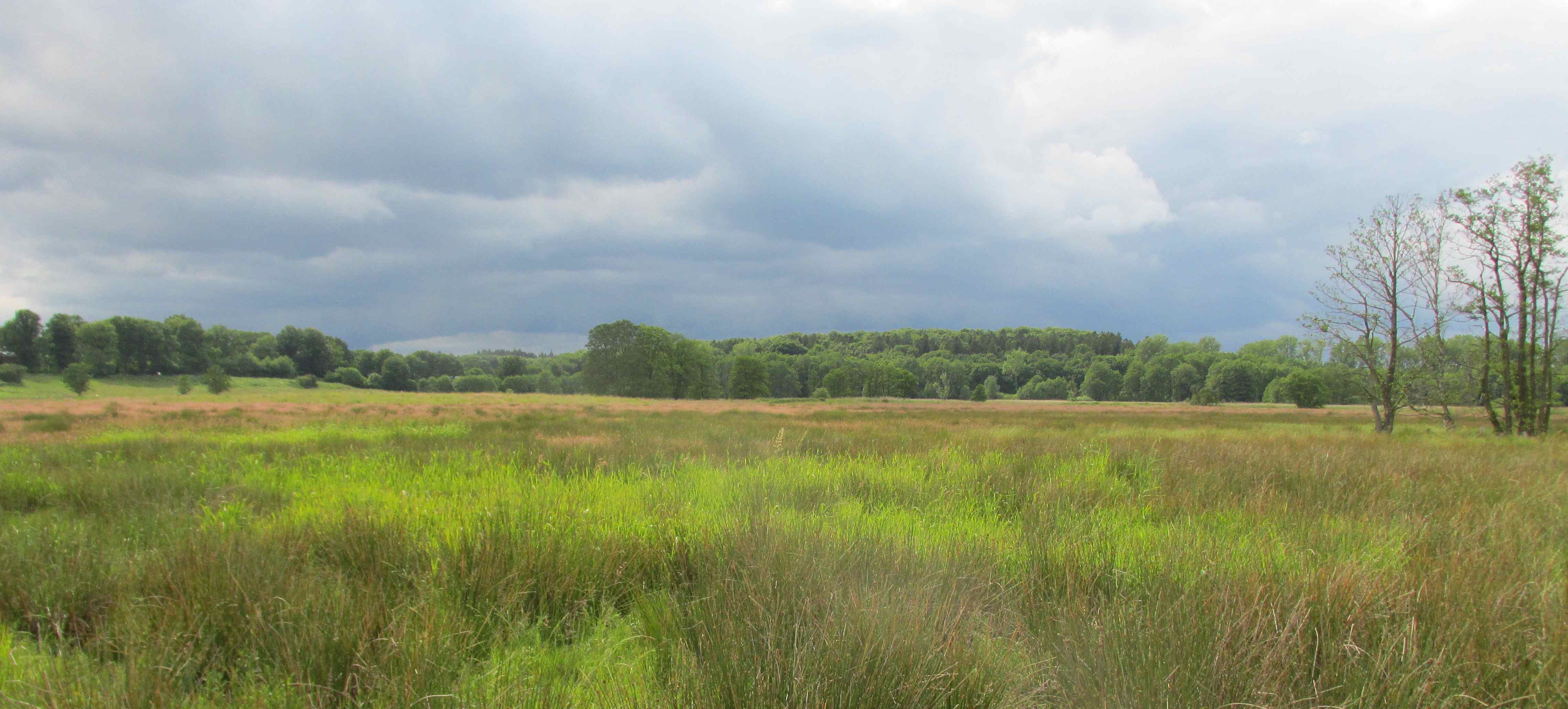 Kartierte Flächen in Schleswig-Holstein