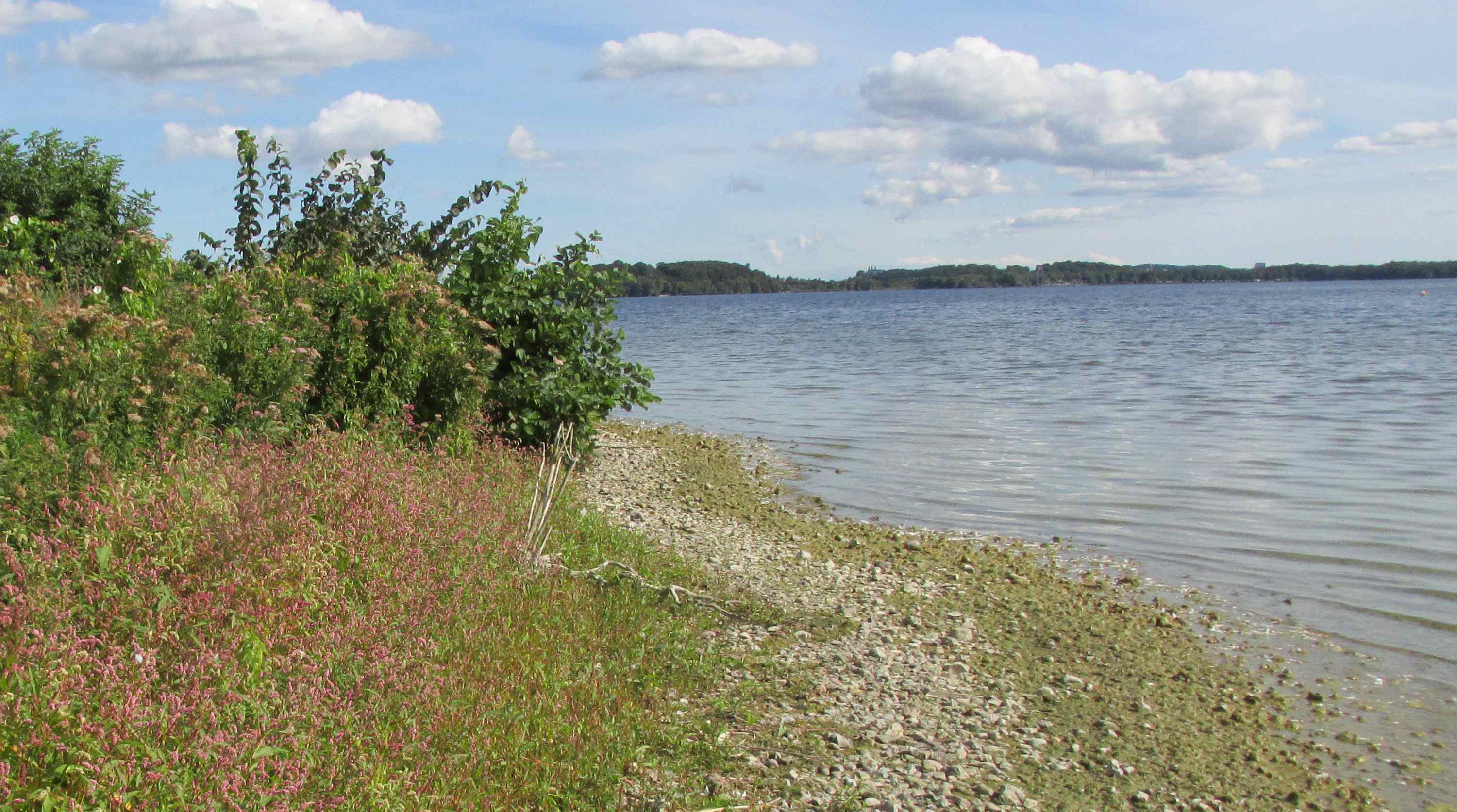Kartierte Flächen in Schleswig-Holstein