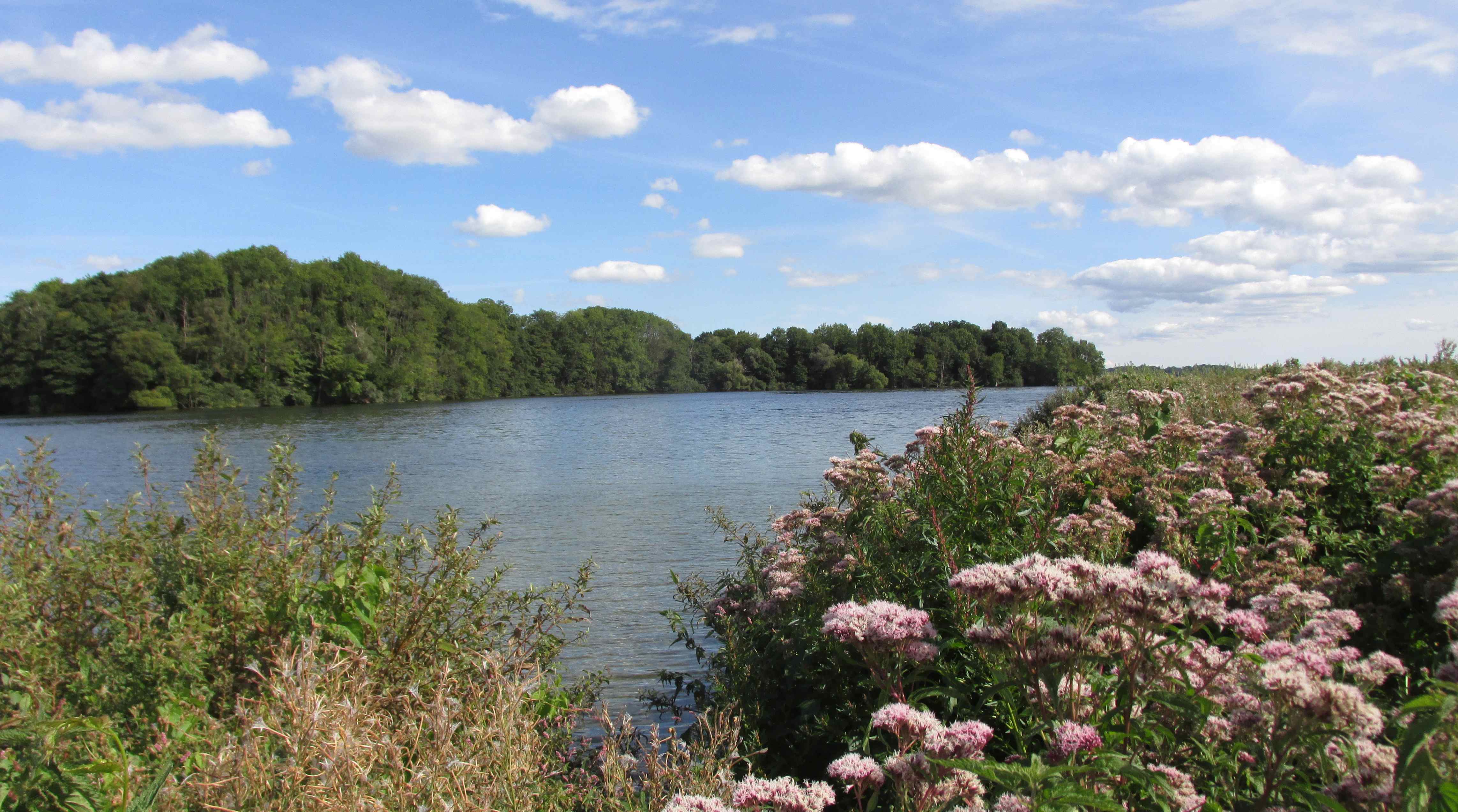 Kartierte Flächen in Schleswig-Holstein