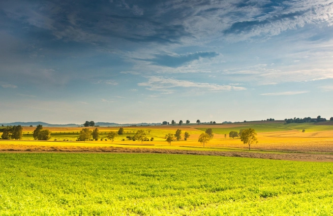 Offene Kulturlandschaft mit Wiesen, Feldern und Baumreihen als typischer Landschaftsraum