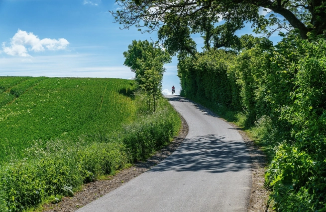 Ländliche Straße durch grüne Hügellandschaft der Holsteinischen Schweiz