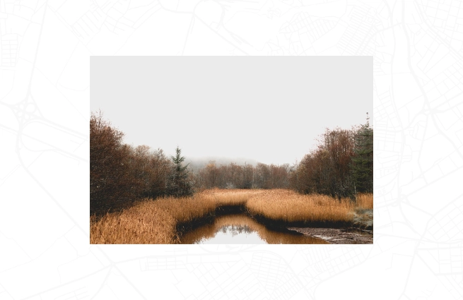 Fließgewässer mit Röhricht und Ufergehölzen in naturnaher Landschaft